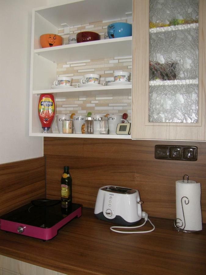 Apartman Marie Český Krumlov 外观 照片